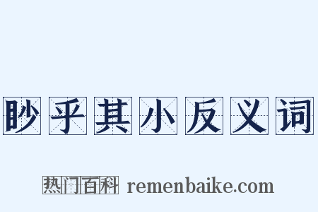眇乎其小反义词是什么意思的图片